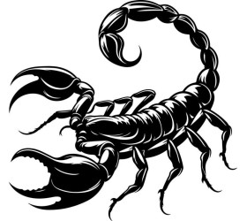 Scorpion Metal Cut Wall Art – Modern Home Decor, Minimalist Wall Decor